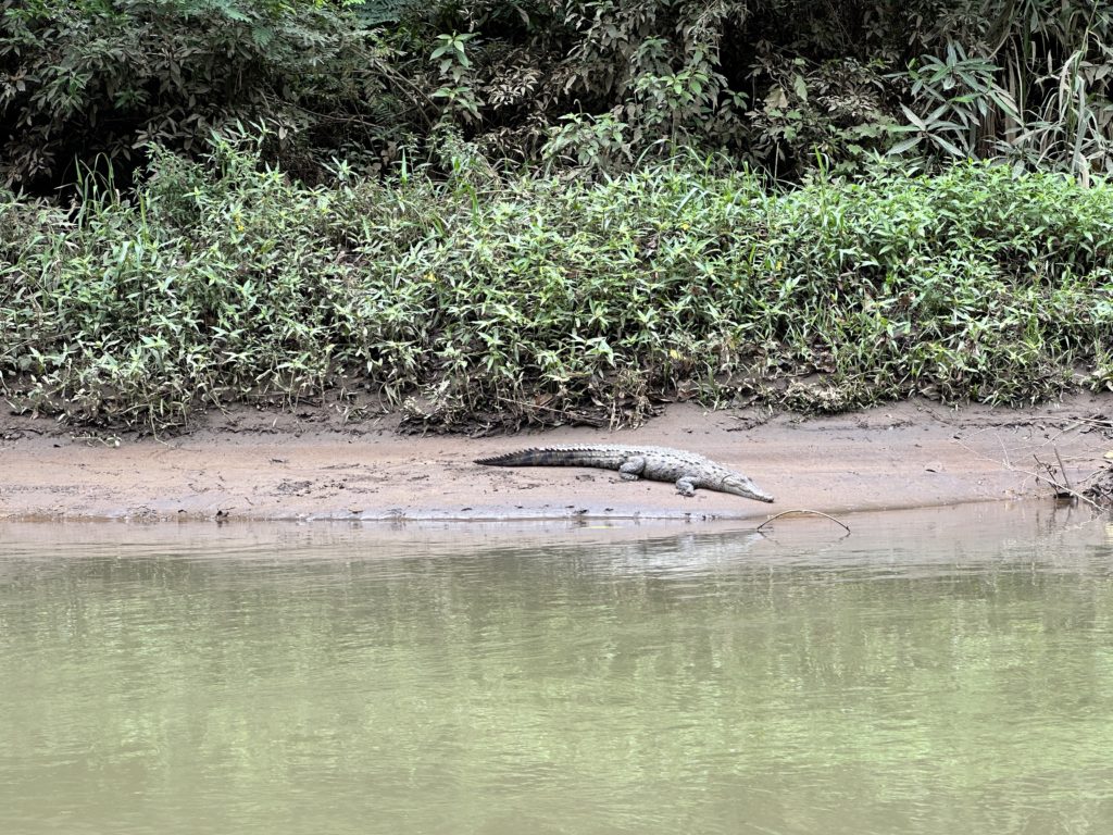 Tour en Bote por el Río Sarapiquí | Aventura en Costa Rica | Paseos Costa Rica