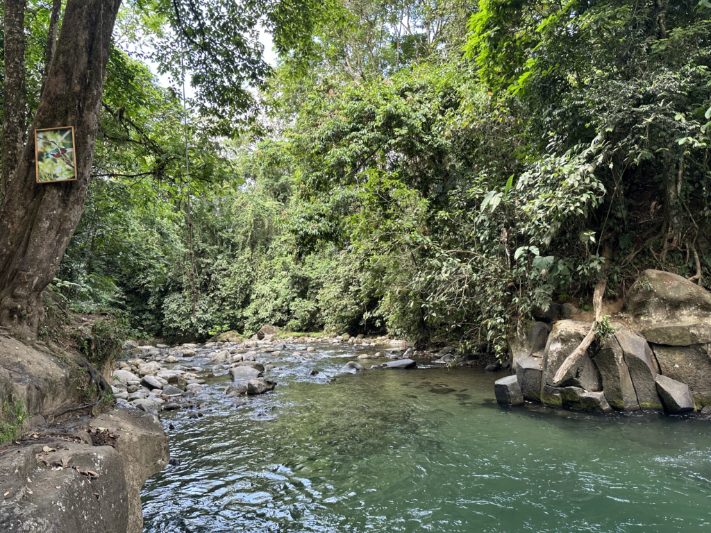 Poza El Salto en La Fortuna: Naturaleza y Aventura en Costa Rica | Paseos Costa Rica