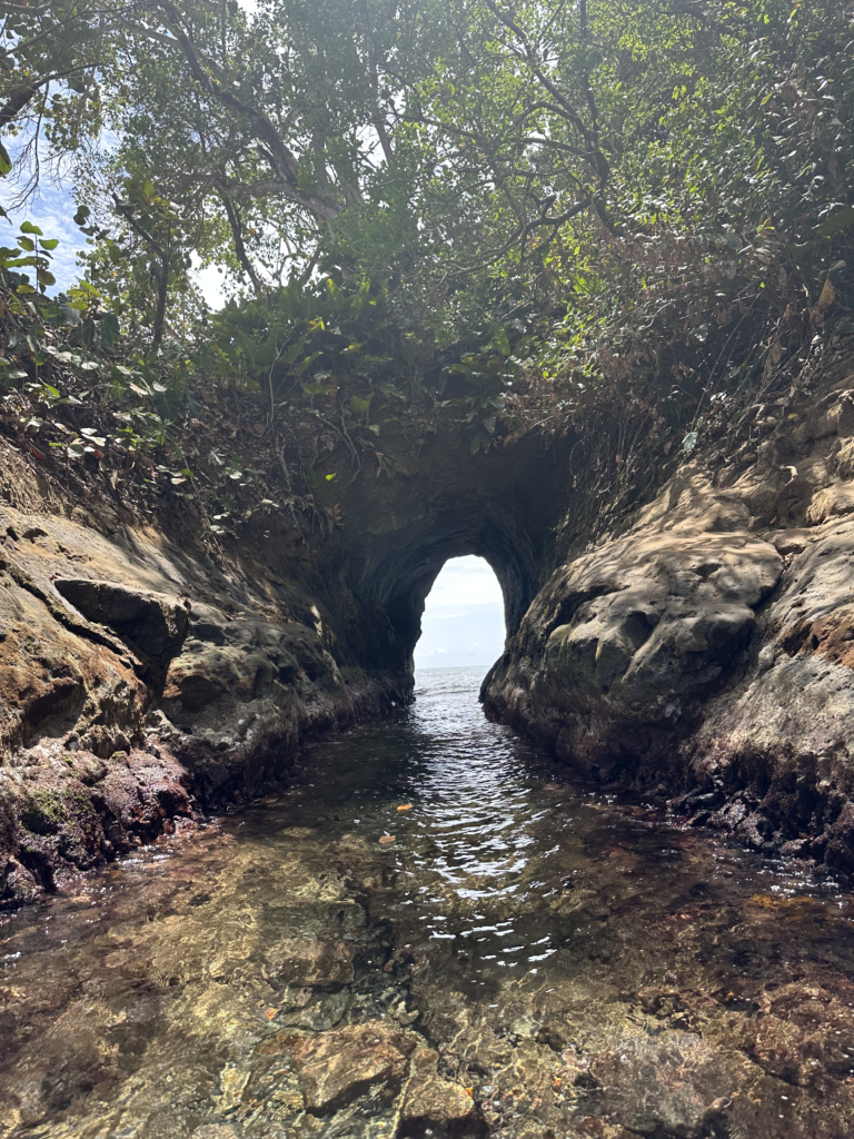 La Cueva de Punta Uva: Guía Completa para Explorar este Tesoro del Caribe Costarricense
