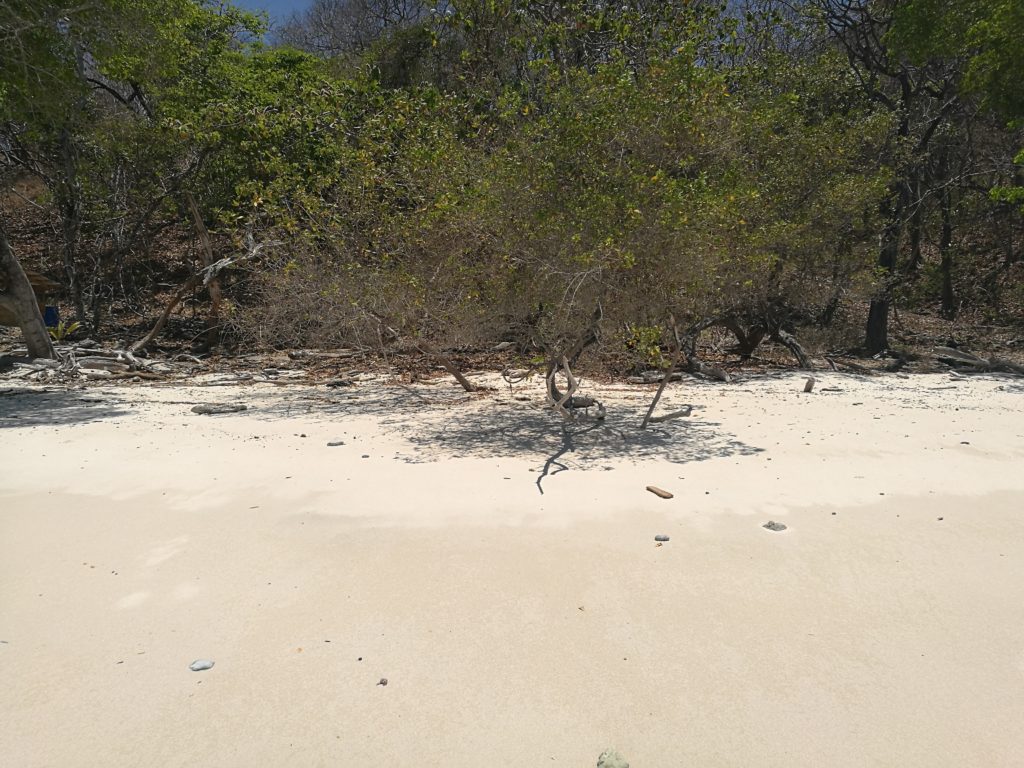 Playa Rosada en Nosara: Descubre la Joya Rosa de Costa Rica