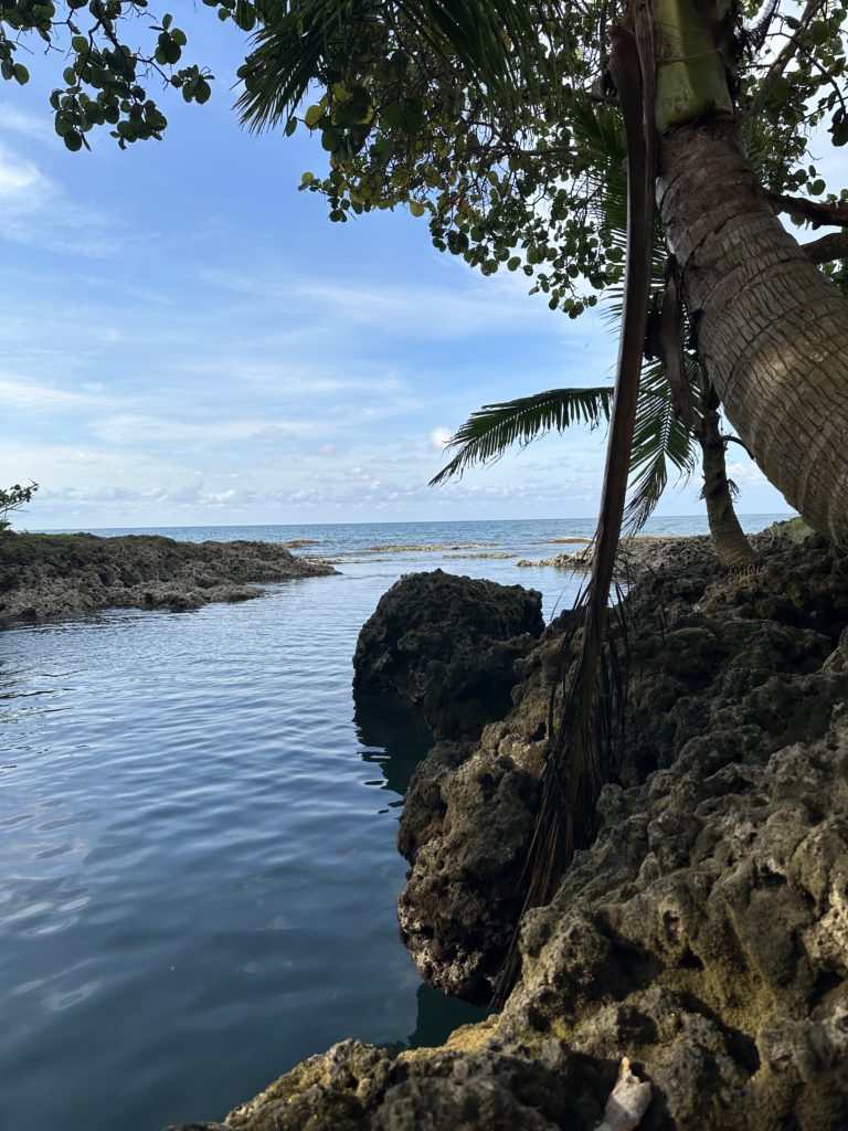 Pozas Naturales del Caribe Costarricense | Descubre Cahuita y Playa Negra