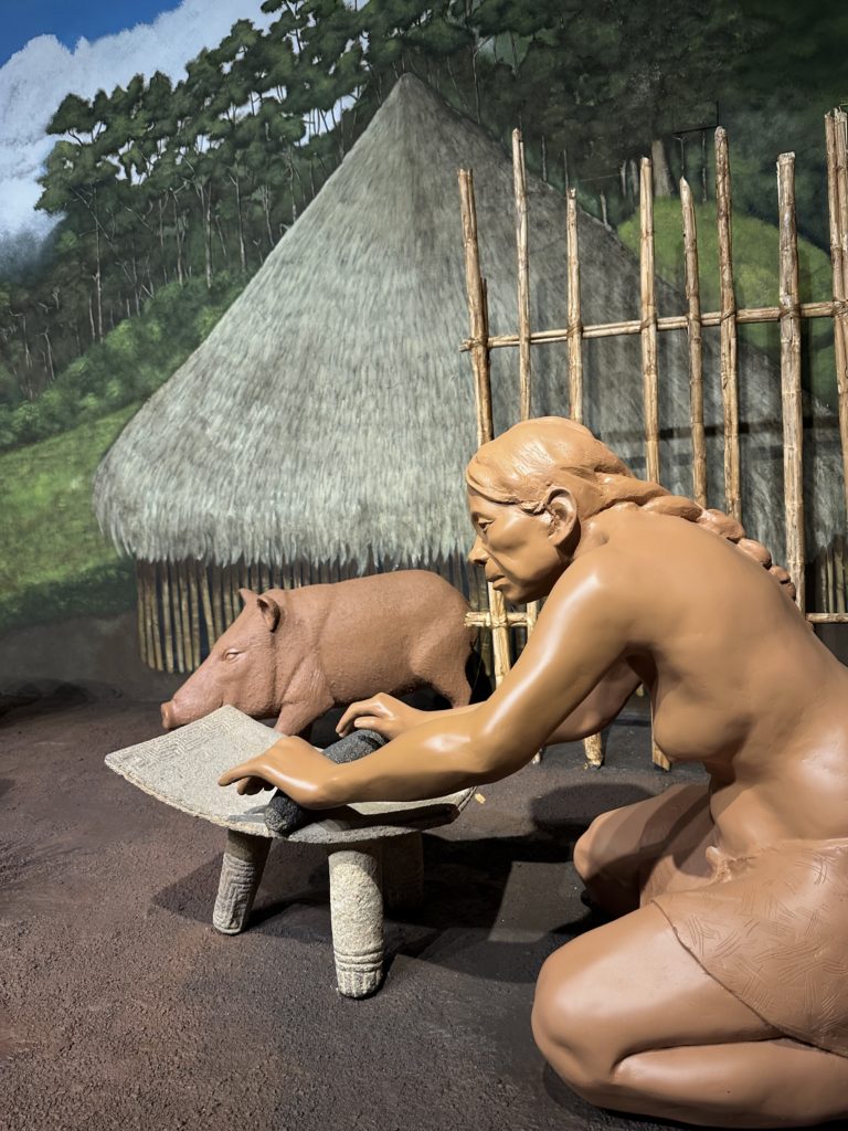 Visitantes interactuando con exhibiciones digitales en el museo