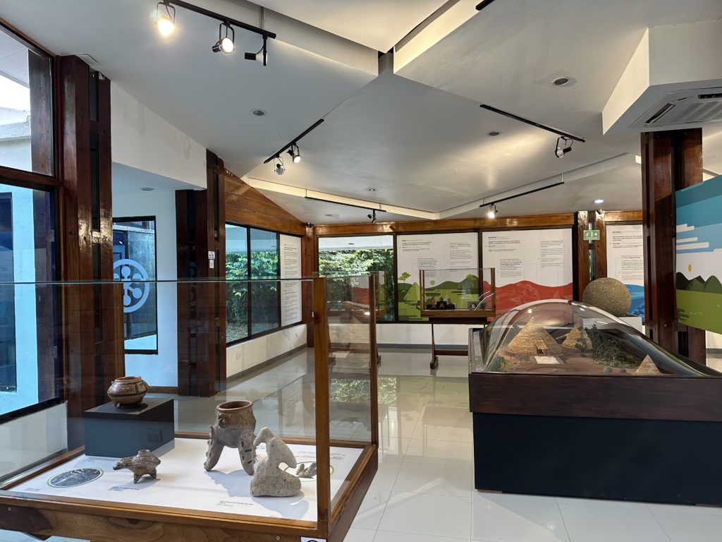 Estructuras arqueológicas y montículos en Finca 6