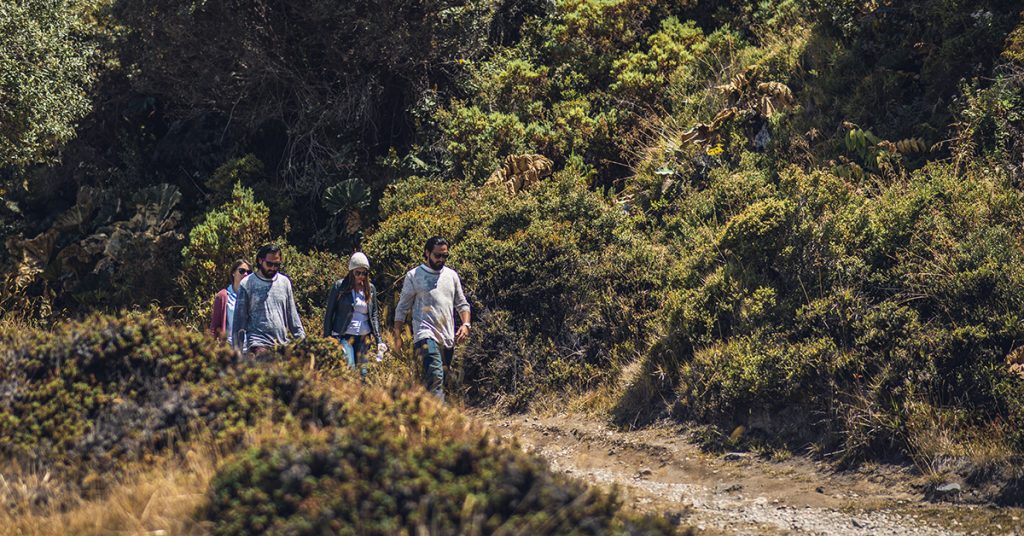 Senderos ecológicos en el bosque de Prusia