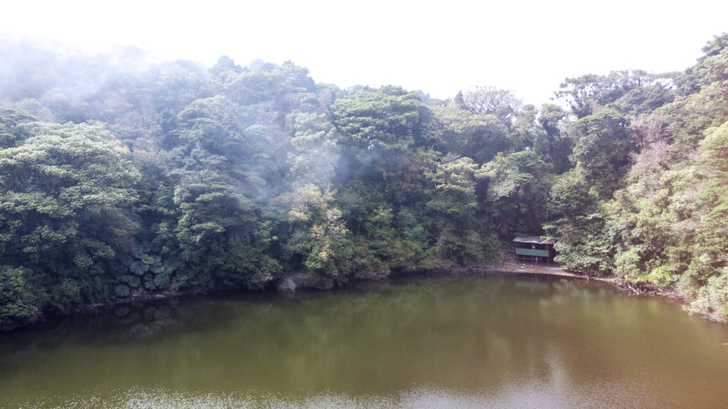 Parque Nacional Braulio Carrillo en Heredia: Guía Completa | Paseos Costa Rica
