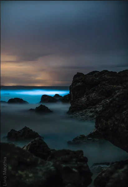 liv-mac-montezuma-cabuya-playa-de-las-rocas-2019_orig.png.webp