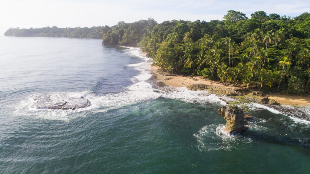 Vista aérea de Playa Manzanillo con aguas turquesas - Caribe Costarricense
