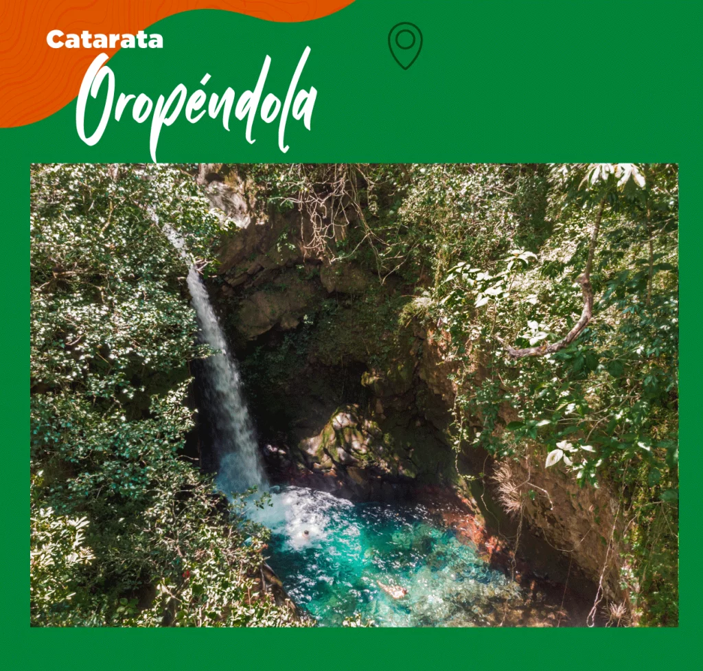 orpendola-1024x977.png.webp