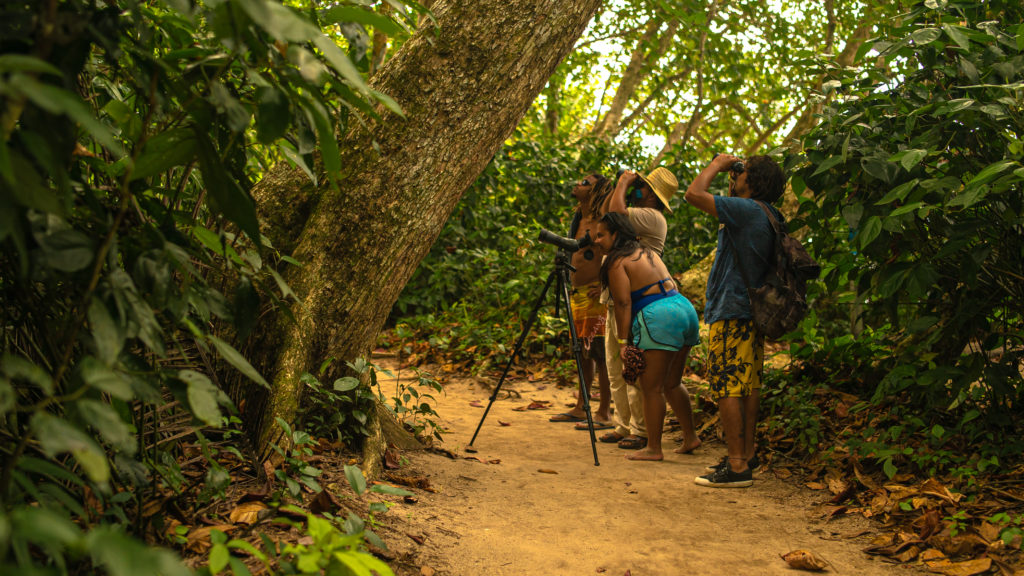 Parques Nacionales de Limón, Costa Rica: Guía Completa para Tu Visita | Paseos Costa Rica