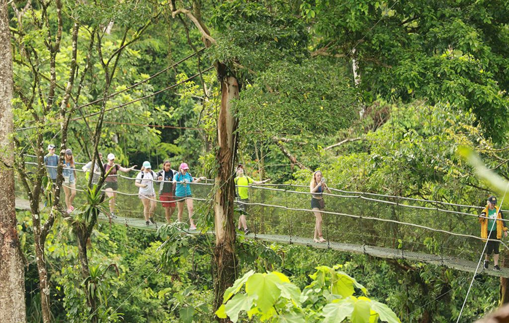 Senderismo en puentes colgantes de Monteverde