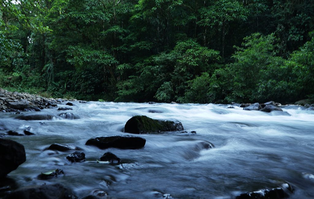 Sendero hacia la Catarata Pozo Azul