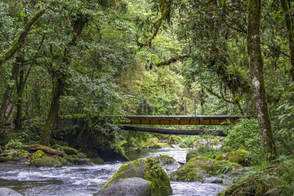 Río Savegre: El Más Limpio de Centroamérica y Reserva de la Biosfera | Paseos Costa Rica