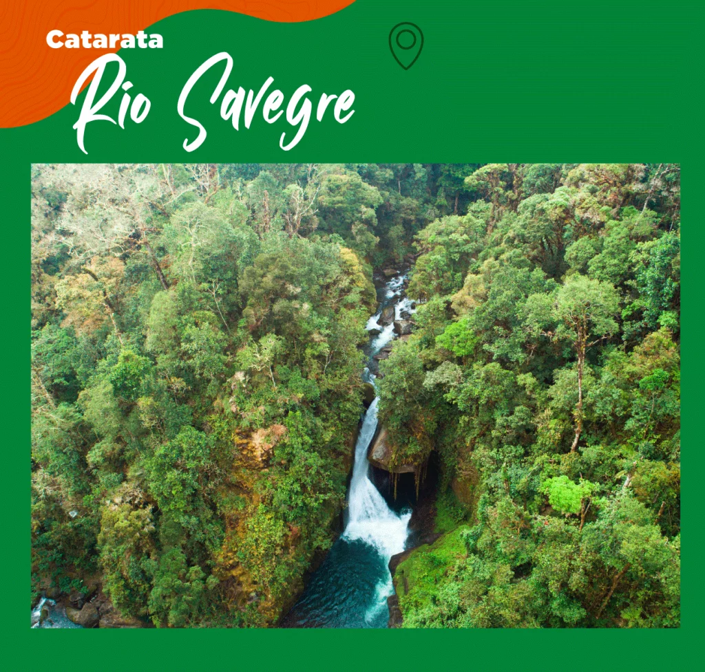 savegre-1024x977.png.webp