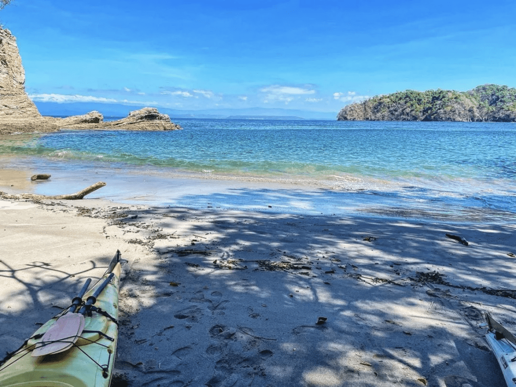 Aves marinas en los acantilados de Isla Negritos