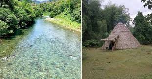 Sendero hacia Catarata Bribri en el bosque lluvioso de Talamanca