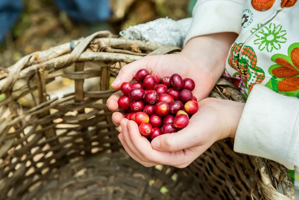 shutterstock_352460117-1-1024x683.jpg.webp