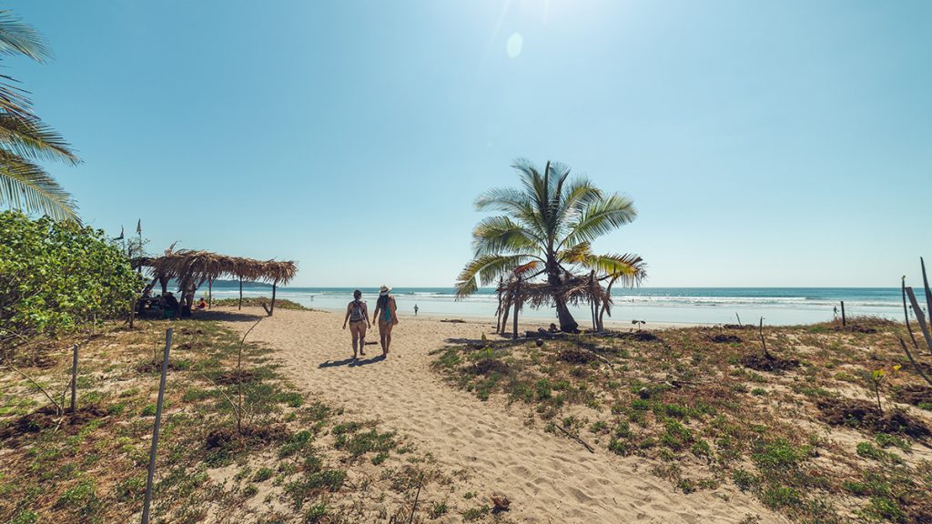 Turismo en Nosara: Guía Completa de Playa Guiones y Refugio Ostional