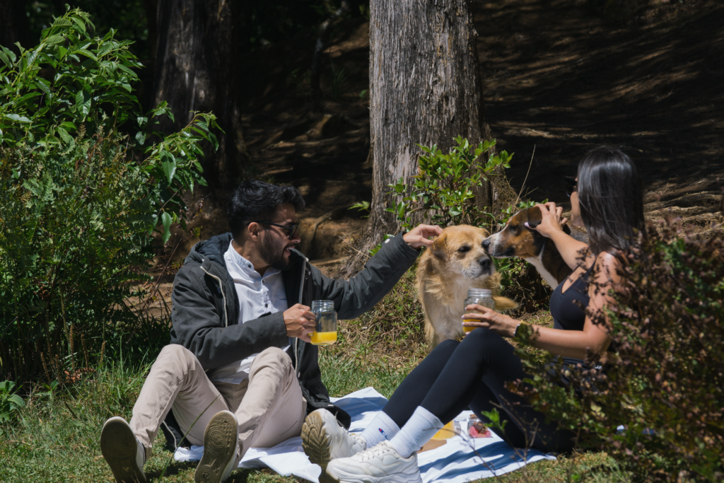 Senderismo pet friendly en los bosques de Dota, Costa Rica