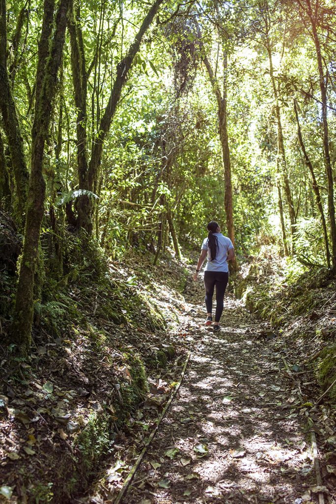 Excursión al Volcán Barva: Guía Completa para Aventureros | Paseos Costa Rica