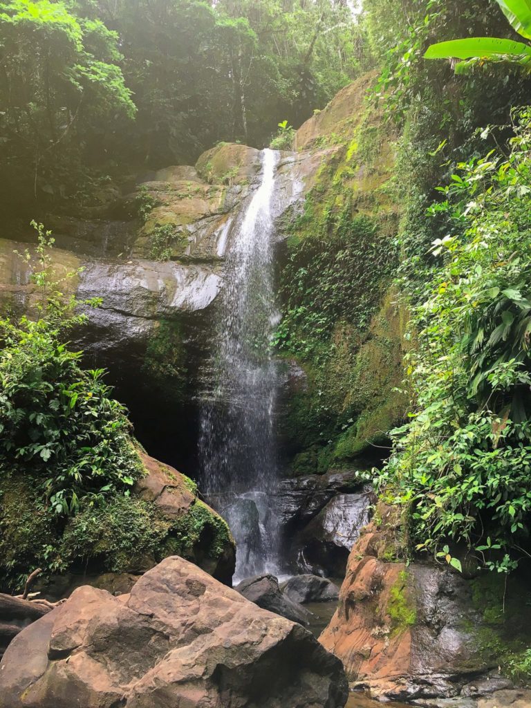 Catarata Volio en Limón: Guía Completa para Visitar esta Joya del Caribe Costarricense | Paseos Costa Rica